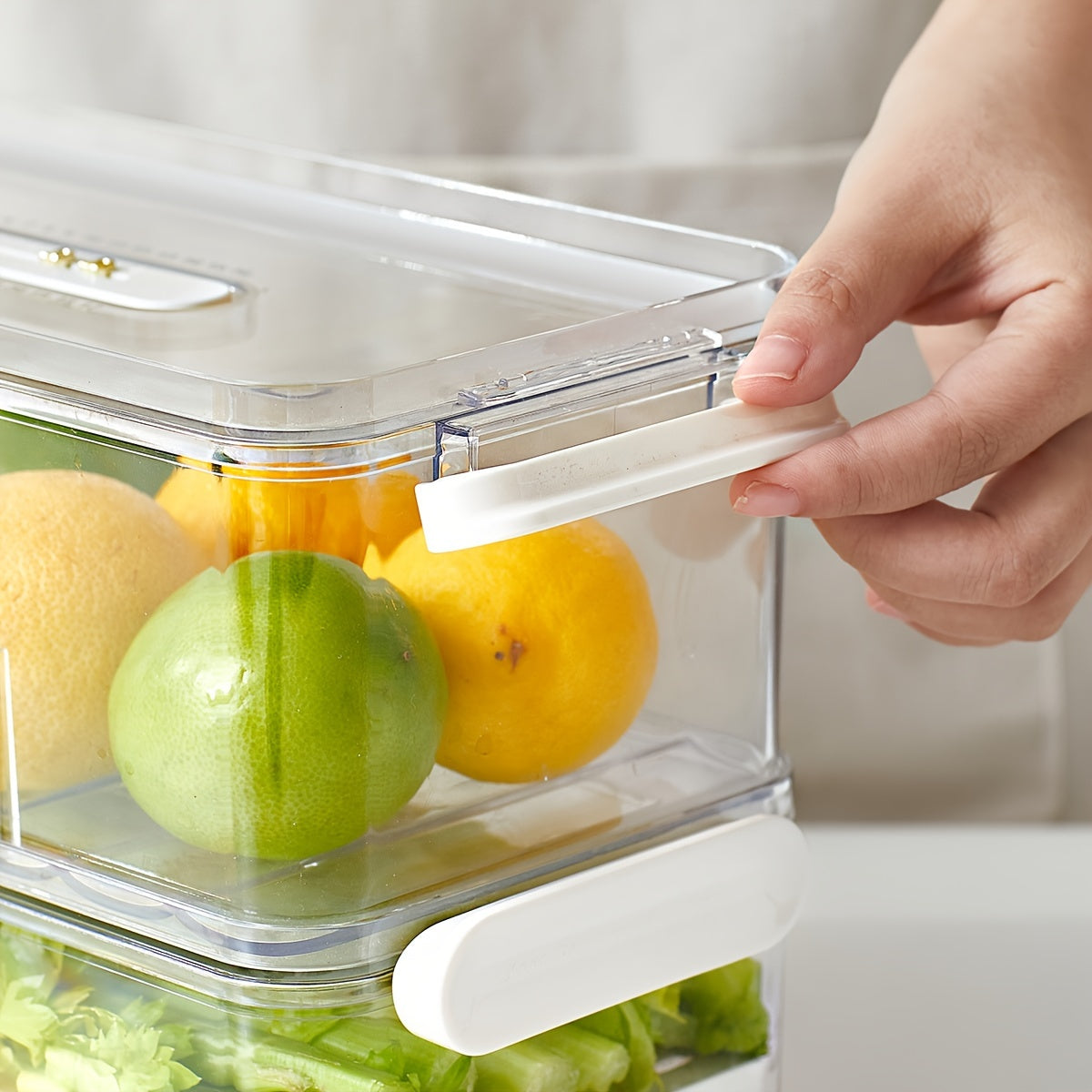 FreshGuard - Organisateur de réfrigérateur élégant et sûr pour les aliments