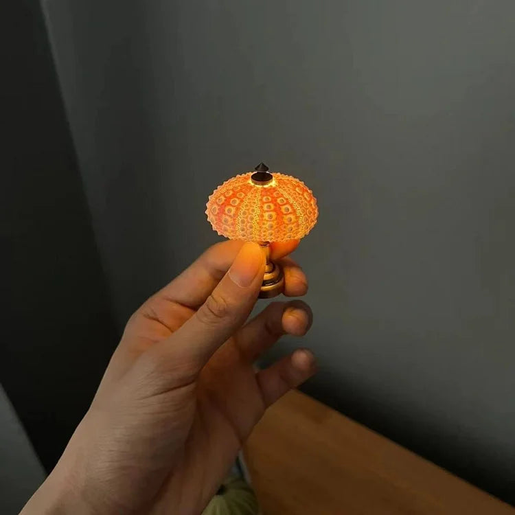 Floroux DIY Bear Sea Night Lamp | Creative LED Ambient Light | Perfect Home Decoration