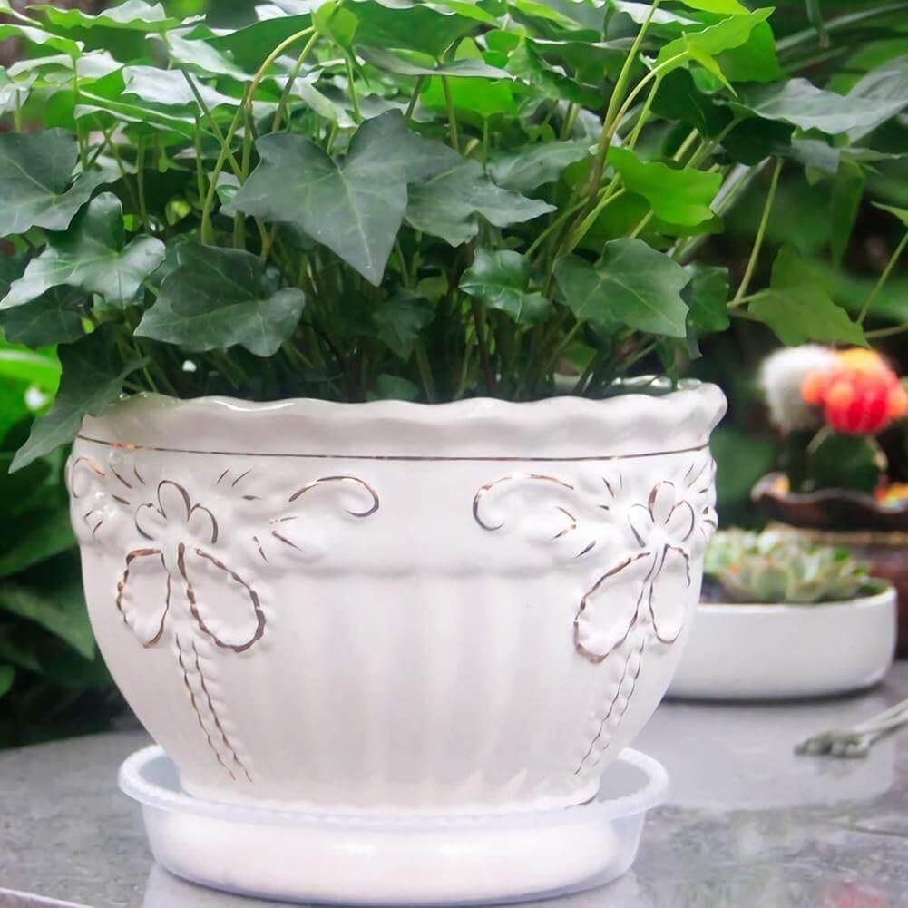 Floroux Ensemble de sous-verres transparents en plastique 10 pièces | Protection des plantes pour la maison et le jardin