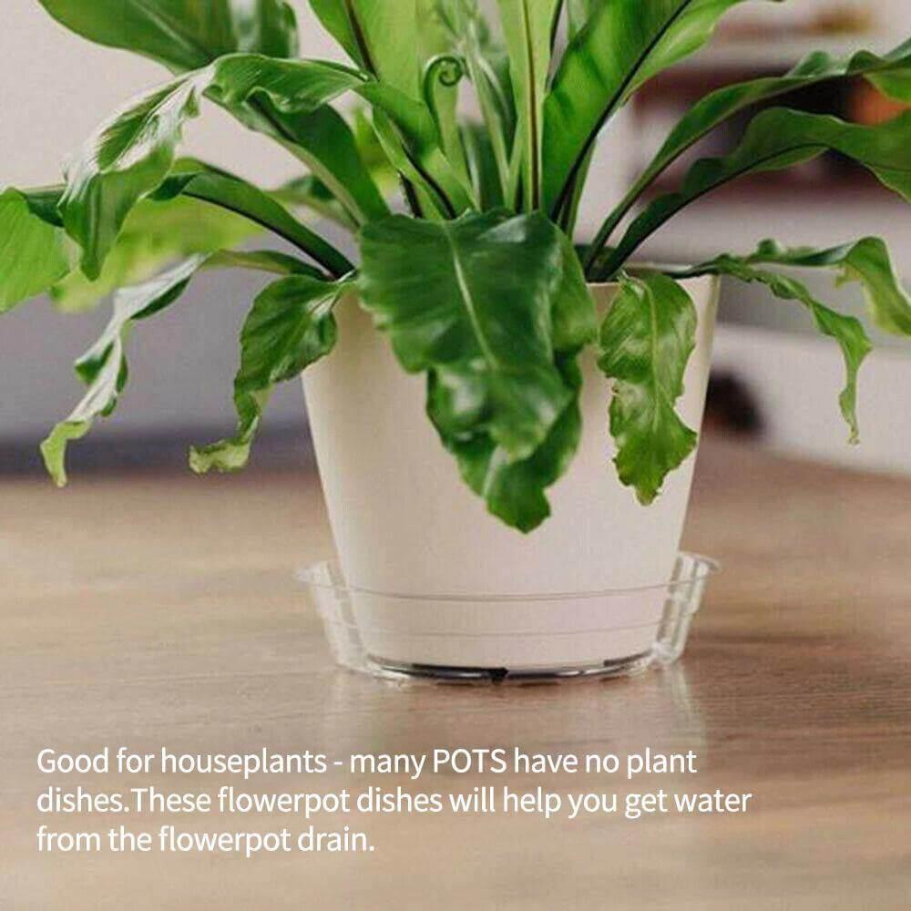Floroux Ensemble de sous-verres transparents en plastique 10 pièces | Protection des plantes pour la maison et le jardin