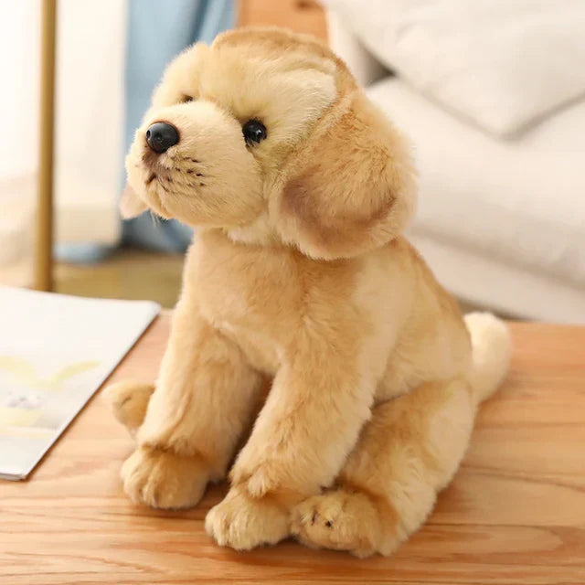 Floroux - Chiots Samoyède Câlins pour Enfants et Adultes