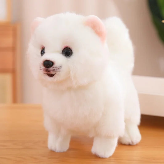 Floroux - Chiens Samoyeds câlins pour enfants et adultes