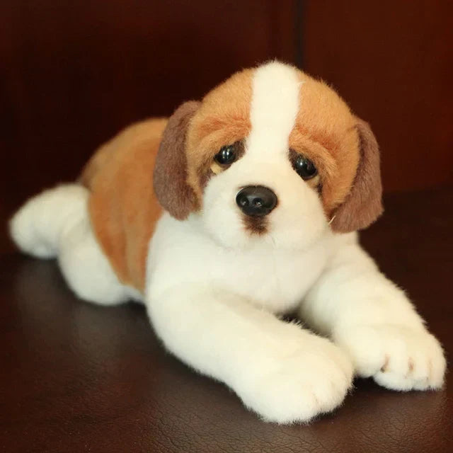 Floroux - Chiots Samoyède Câlins pour Enfants et Adultes