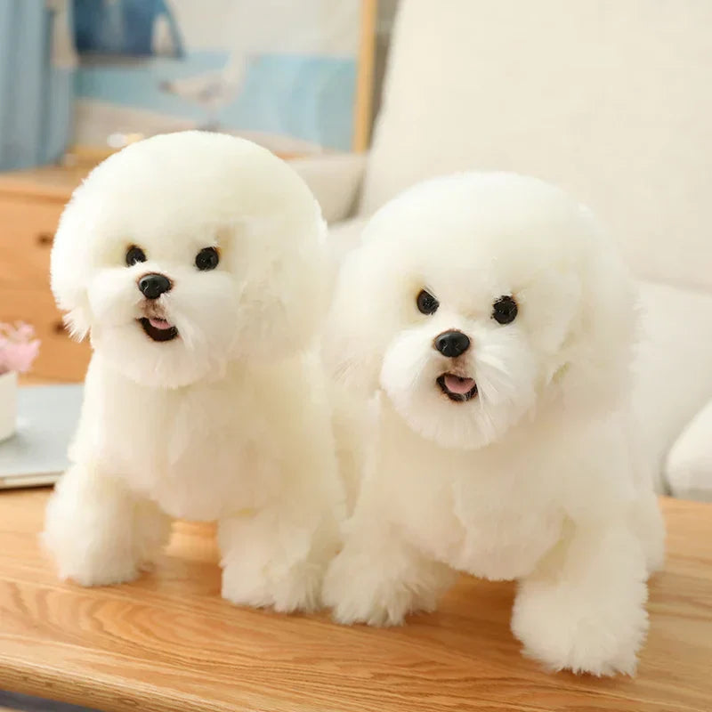 Floroux - Chiens Samoyeds câlins pour enfants et adultes