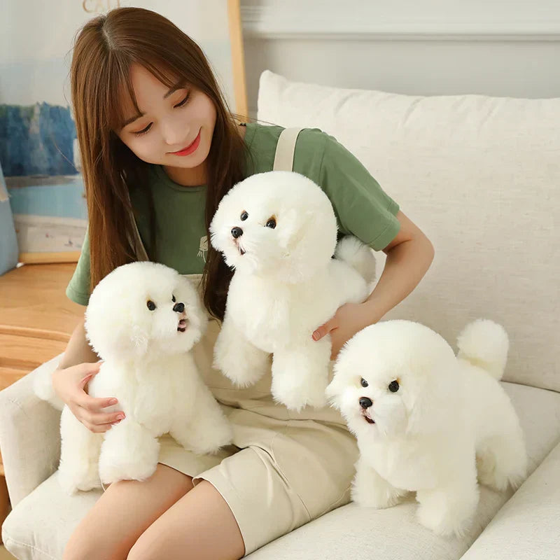 Floroux - Chiots Samoyède Câlins pour Enfants et Adultes