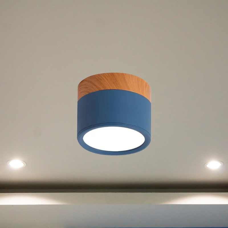 Floroux - Luminaire LED de plafond élégant pour couloirs modernes au design minimaliste