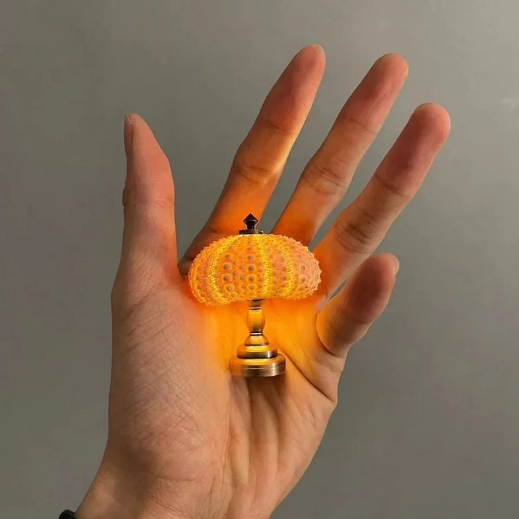 MINI Oursin de mer veilleuse