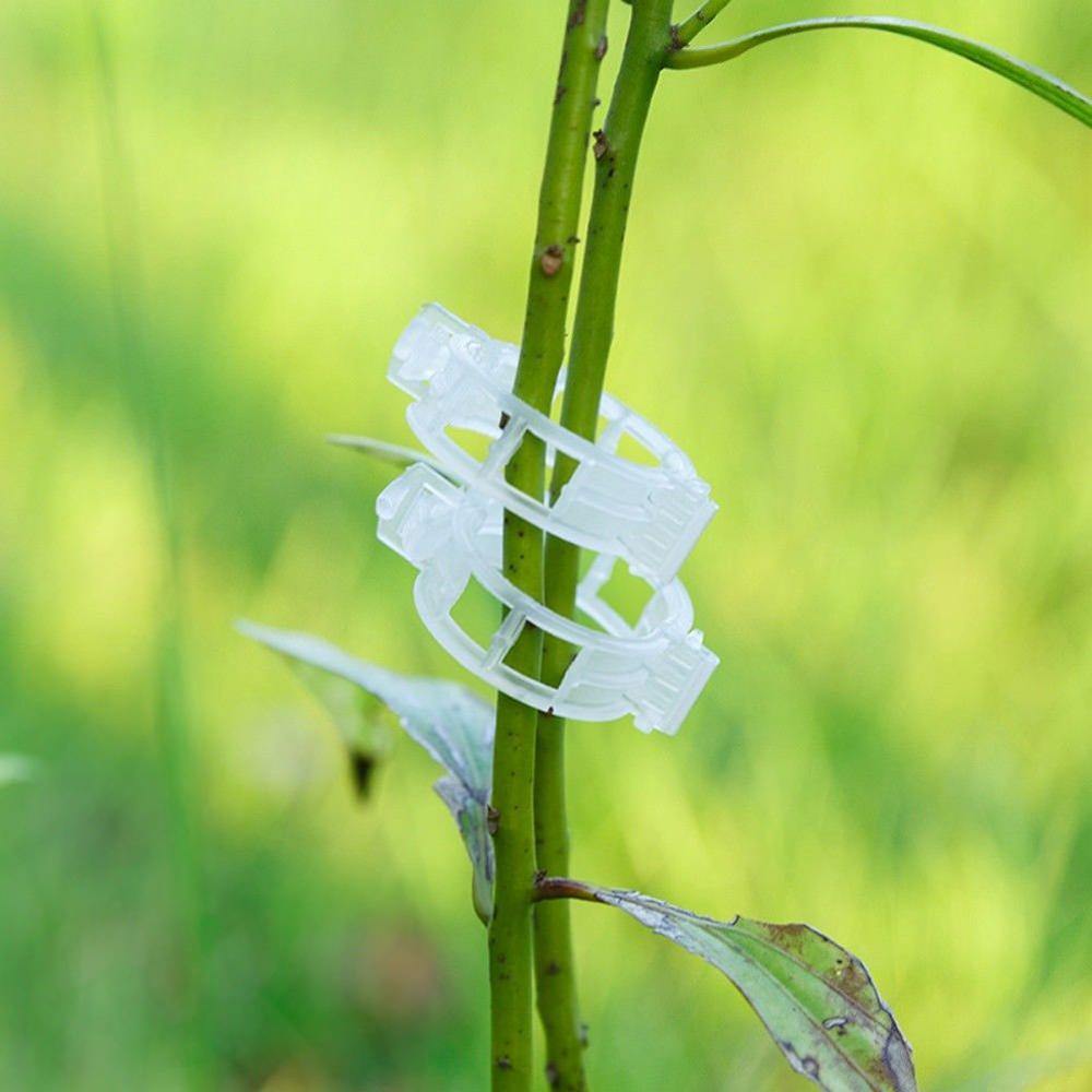 Floroux Support de plante Clip Set | Stabilité pour les tiges de plantes | Fixation facile | Soutien pour une croissance saine