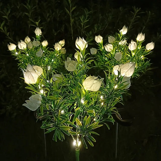 Floroux - Solar Gardenia Lights