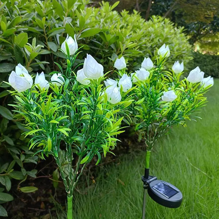 Floroux - Solar Gardenia Lights