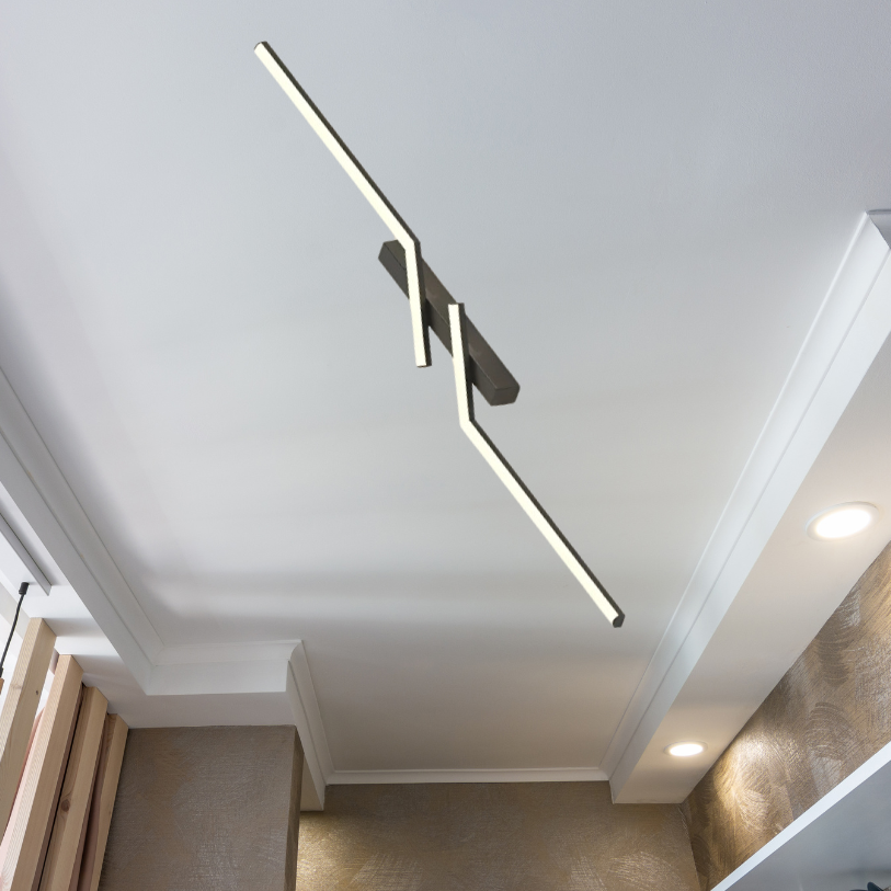 Floroux – Lampe de plafond LED intelligente avec luminosité réglable