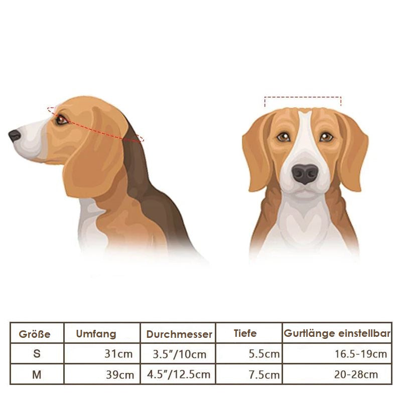 Casque de moto et lunettes de protection pour chiens – Tendance et sûr