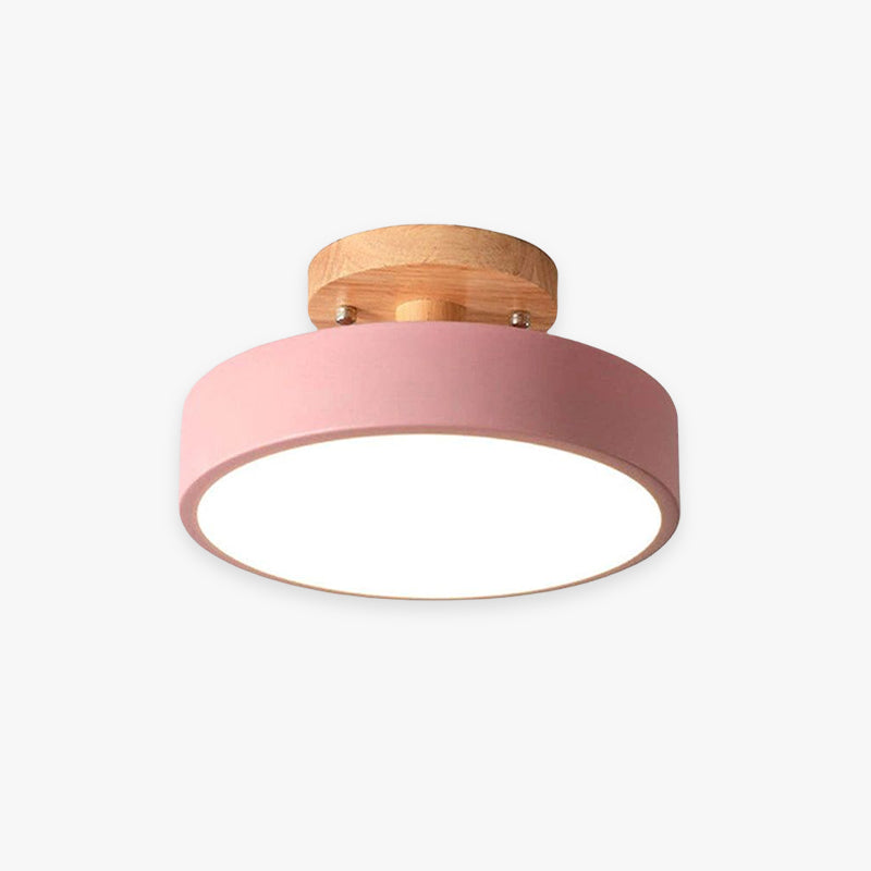 Floroux - Lampe de plafond LED moderne et élégante pour un éclairage intelligent