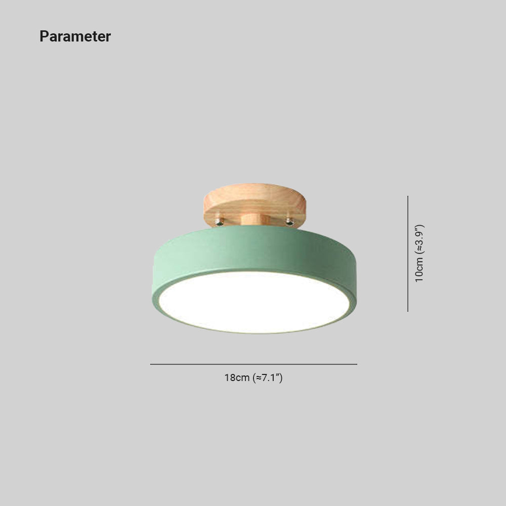 Floroux - Lampe de plafond LED moderne et élégante pour un éclairage intelligent
