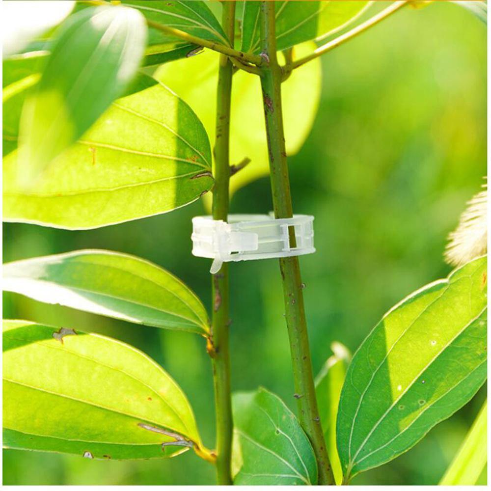 Floroux Support de plante Clip Set | Stabilité pour les tiges de plantes | Fixation facile | Soutien pour une croissance saine