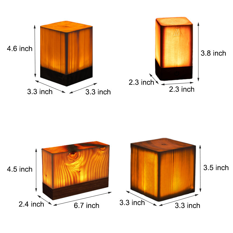 LumiNature - Lampe de Table Sans Fil avec Éclairage LED Tactile