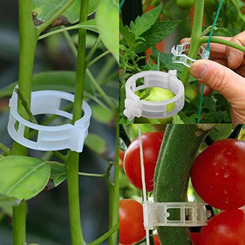 PlantSupport Clips | Améliorez votre expérience de jardinage