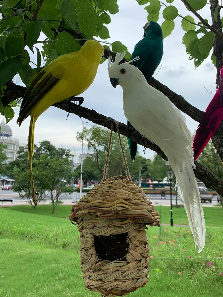 Décoration de jardin – ParrotGlow – perroquet exotique – accents vivants