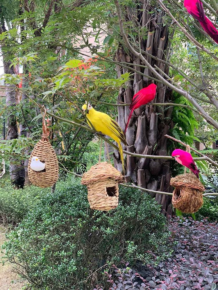 Décoration de jardin – ParrotGlow – perroquet exotique – accents vivants