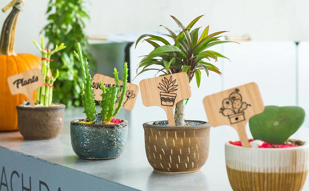 Floroux Wooden Plant Labels | Environmentally Friendly | Perfect for Garden & Balcony | Marker Labels for Plants