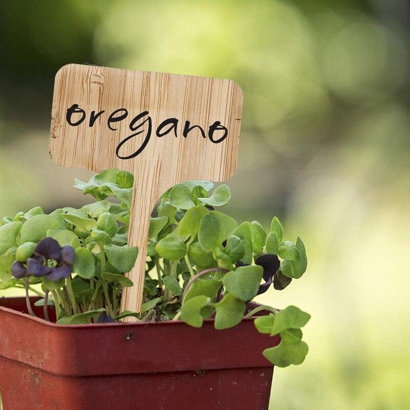 Floroux Wooden Plant Labels | Environmentally Friendly | Perfect for Garden & Balcony | Marker Labels for Plants