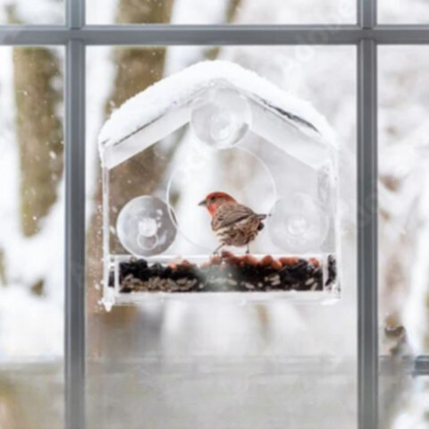 Floroux | Station de nourrissage pour oiseaux en acrylique transparent
