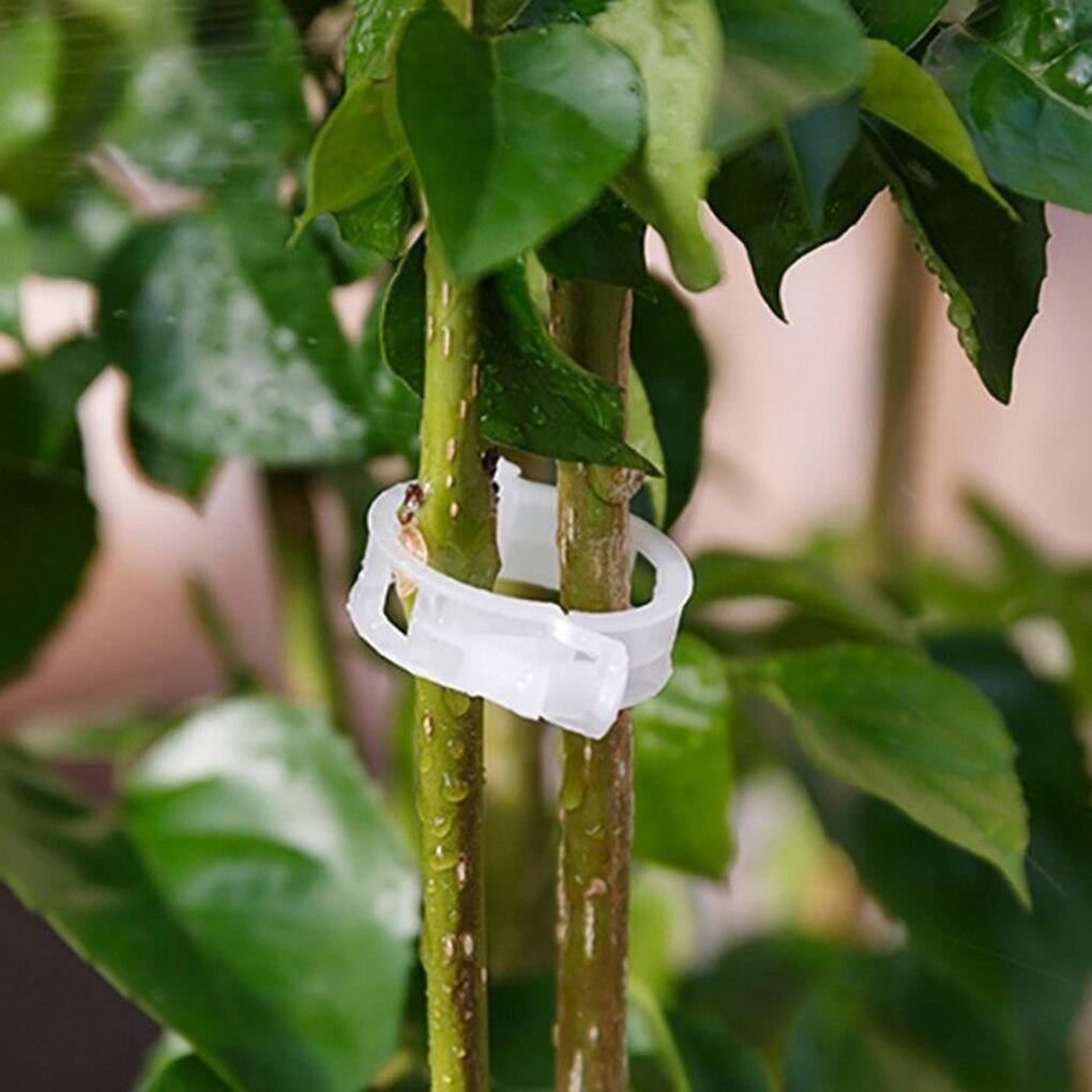 Floroux Support de plante Clip Set | Stabilité pour les tiges de plantes | Fixation facile | Soutien pour une croissance saine