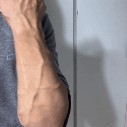 DynoGrip | Entraîne tes avant-bras et ta force de préhension depuis chez toi