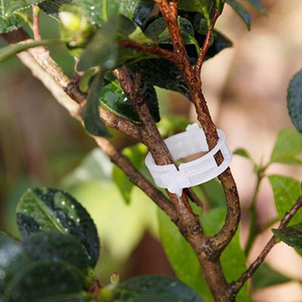 Floroux Support de plante Clip Set | Stabilité pour les tiges de plantes | Fixation facile | Soutien pour une croissance saine