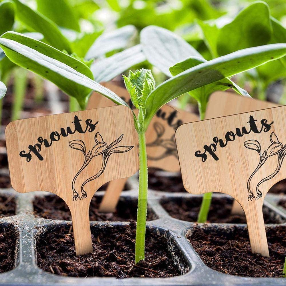 Floroux Wooden Plant Labels | Environmentally Friendly | Perfect for Garden & Balcony | Marker Labels for Plants