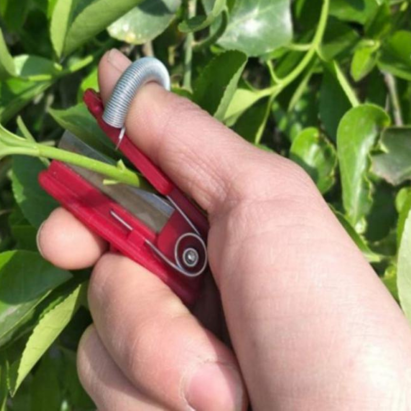 GardenGrip Outil – Cueillir Facilement Légumes et Fruits