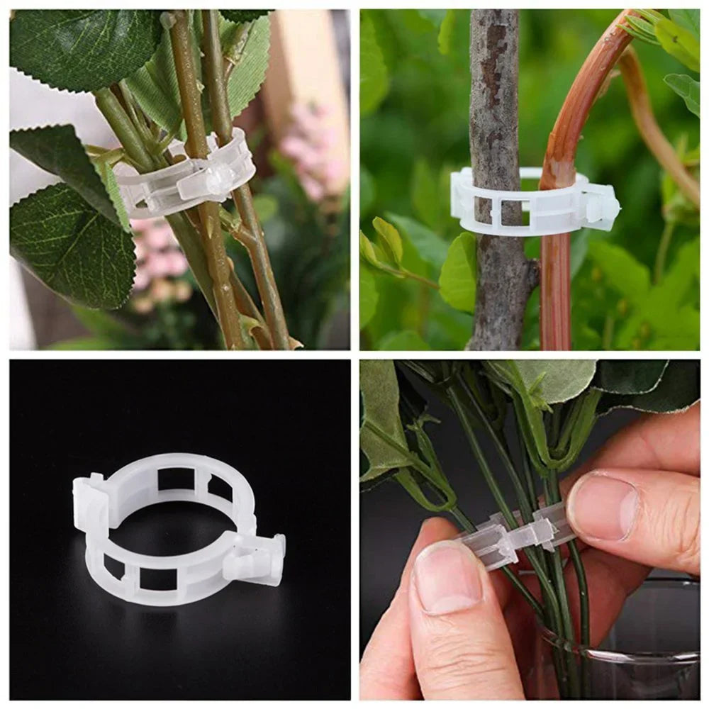 PlantSupport Clips | Améliorez votre expérience de jardinage