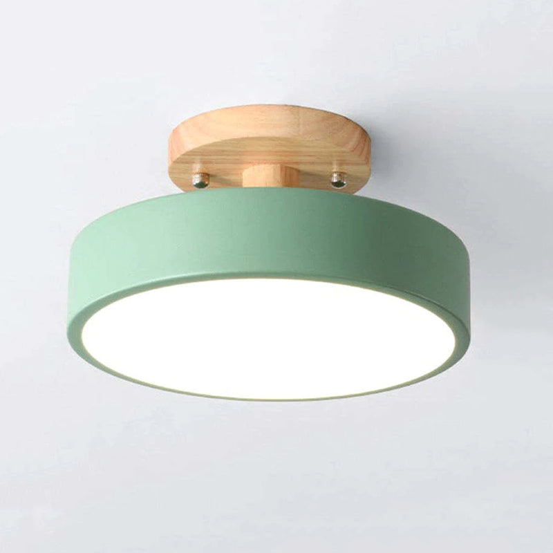 Floroux - Lampe de plafond LED moderne et élégante pour un éclairage intelligent