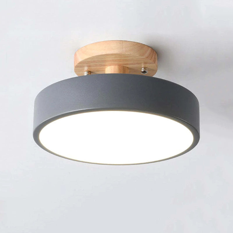 Floroux - Lampe de plafond LED moderne et élégante pour un éclairage intelligent