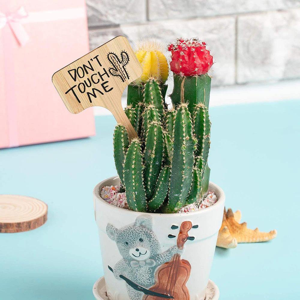 Floroux Wooden Plant Labels | Environmentally Friendly | Perfect for Garden & Balcony | Marker Labels for Plants