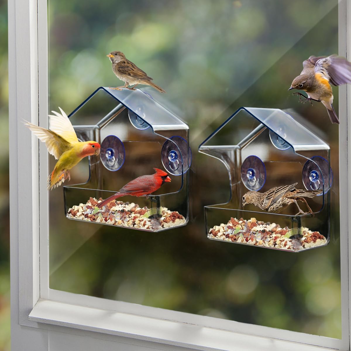 Floroux | Station de nourrissage pour oiseaux en acrylique transparent