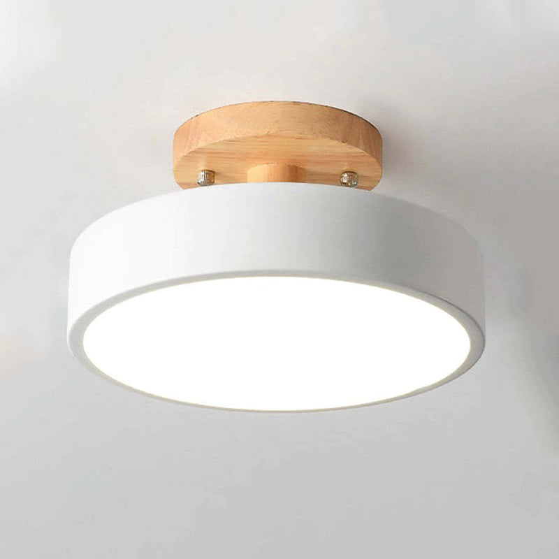 Floroux - Lampe de plafond LED moderne et élégante pour un éclairage intelligent