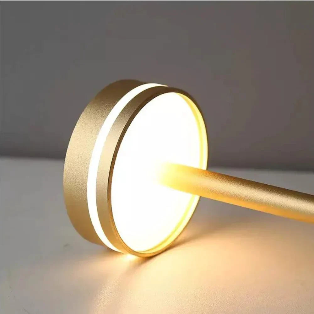 Lumière de rayonnement sans fil portable