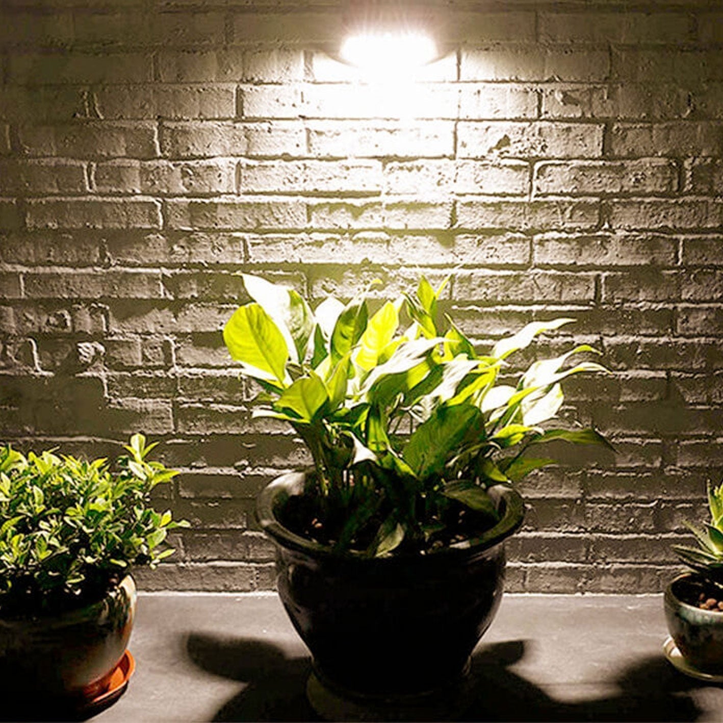 Floroux Lampe murale solaire | Design en forme de trapèze | Fonctionnement solaire | Éclairage extérieur LED