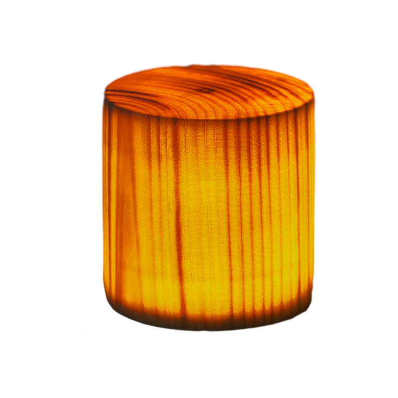 LumiNature - Lampe de Table Sans Fil avec Éclairage LED Tactile