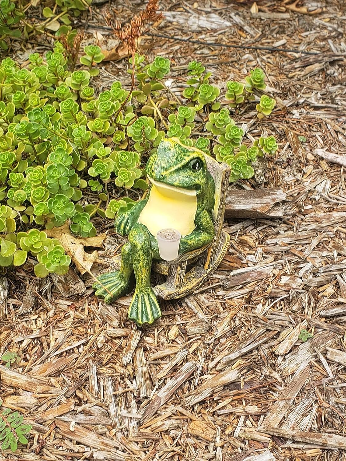Grenouille de jardin Floroux