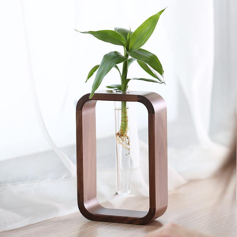 Floroux Vase de plantation en bois et verre | Conteneur de culture élégant | Parfait pour les amateurs de plantes et la décoration