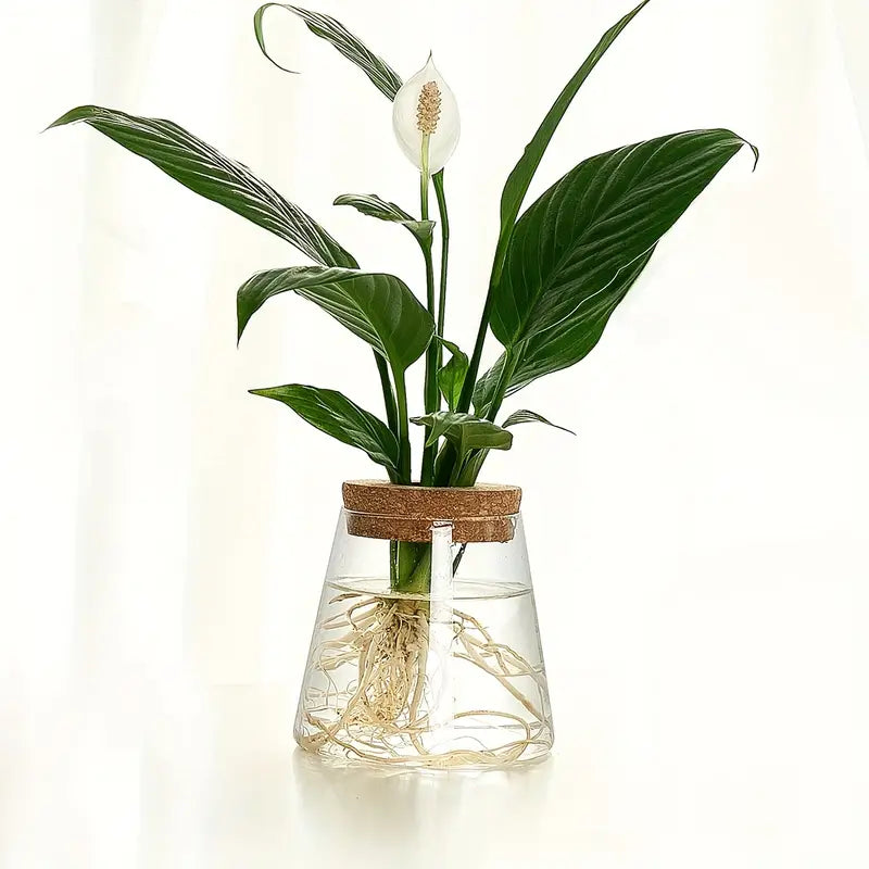 Alberic - Propagateur de plantes en verre écologique
