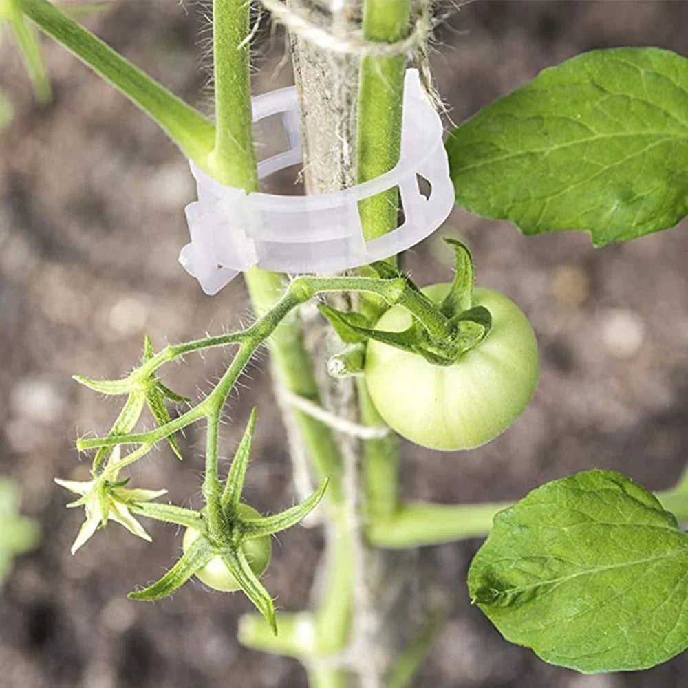 PlantSupport Clips | Améliorez votre expérience de jardinage