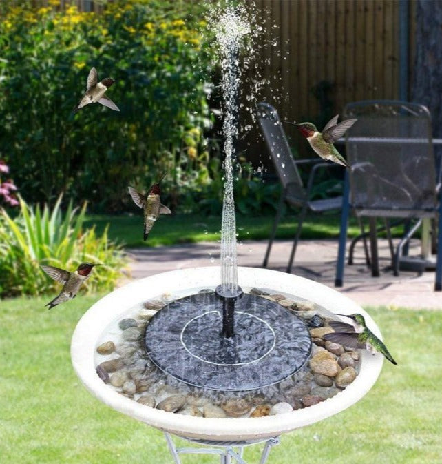 Flowbee – Fontaine solaire élégante pour les oiseaux de jardin