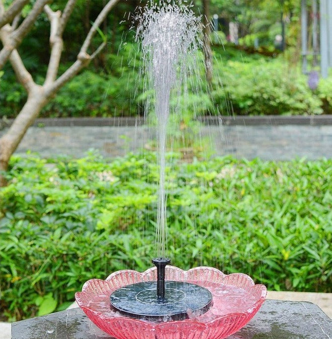 Flowbee – Fontaine solaire élégante pour les oiseaux de jardin