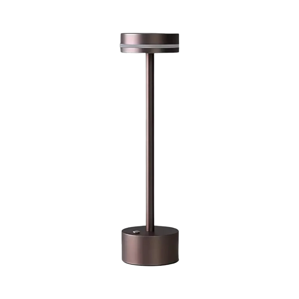 Lumière de rayonnement sans fil portable