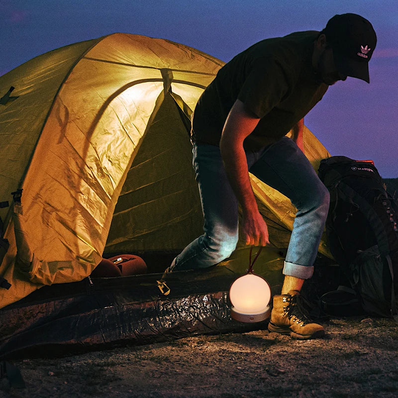 Floroux - Lampe de table sans fil