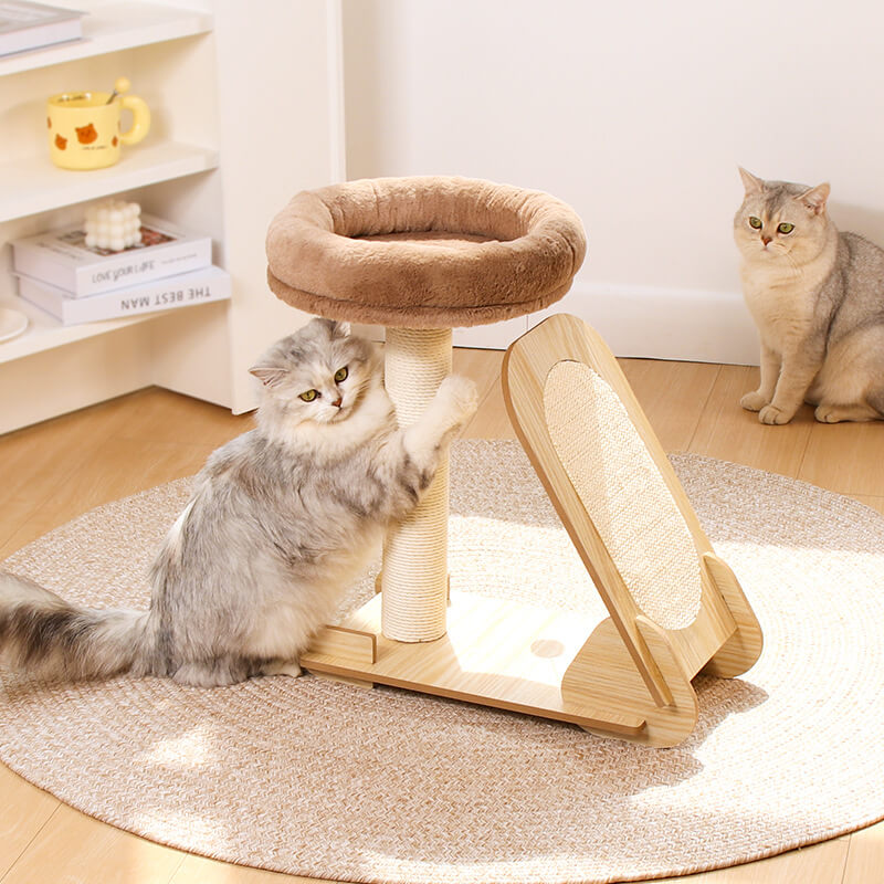 Arbre à chat durable pour grimper avec poteau à griffer en sisal