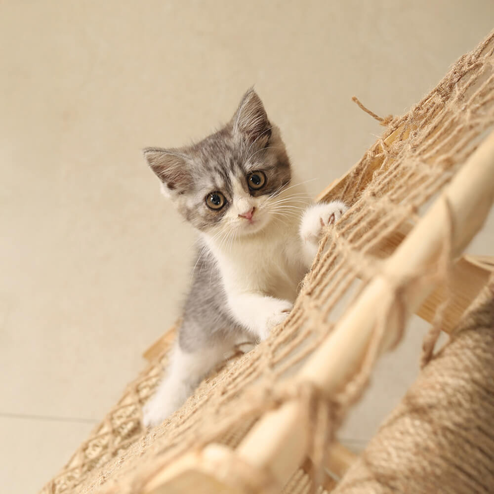 Arbre à chats en bois moderne, poteau à gratter drôle avec hamac et filet d'escalade